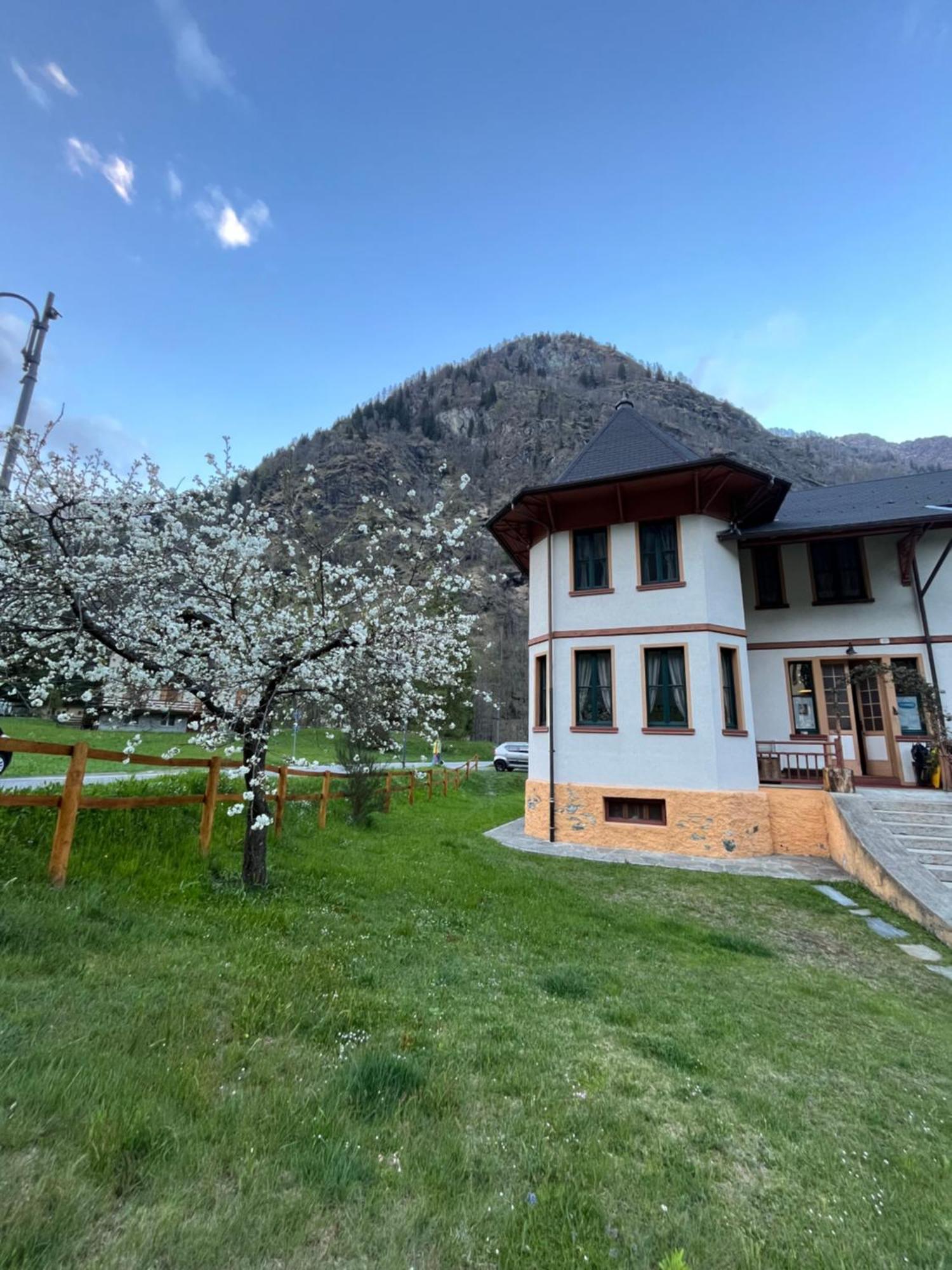 L'Aria Di Casa Panzió Alagna Valsesia Kültér fotó