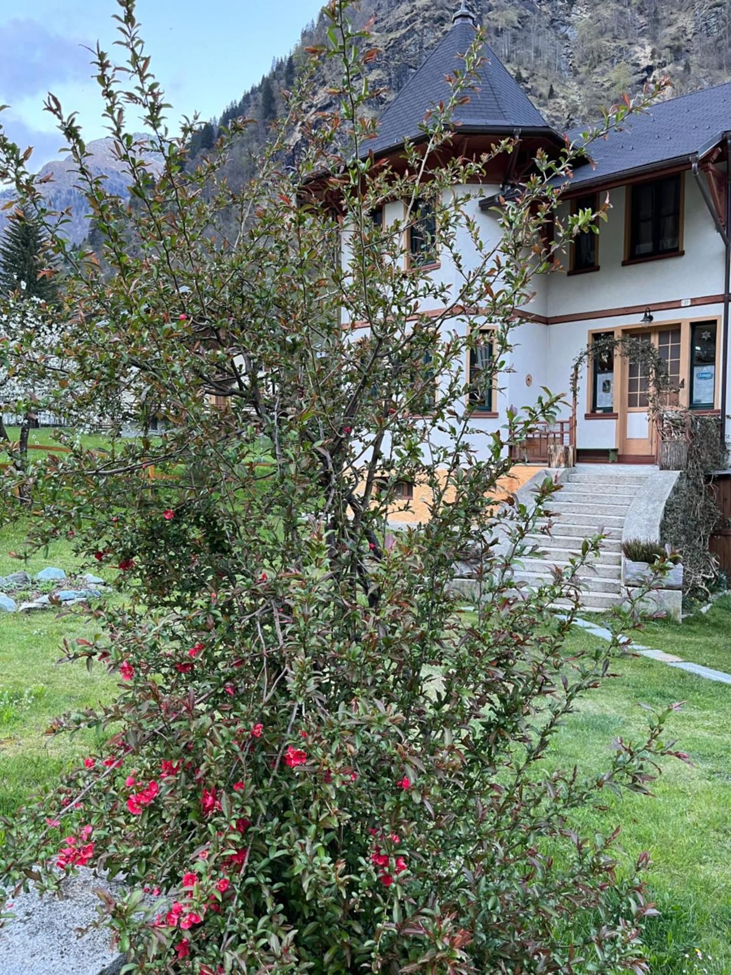 L'Aria Di Casa Panzió Alagna Valsesia Kültér fotó